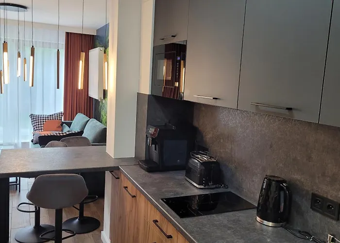 Kora Kilinskiego Apartment *